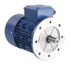 B5 – Flange Mounted
